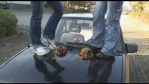 Cakes on a Car