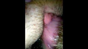 Ex Girlfriend Creamy Pussy